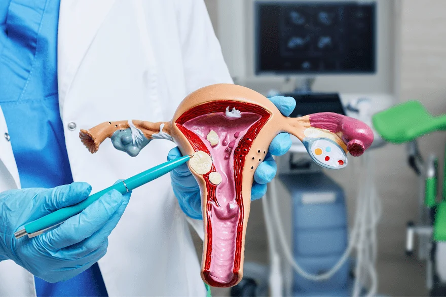 Gynaecology | Shree Women's Clinic